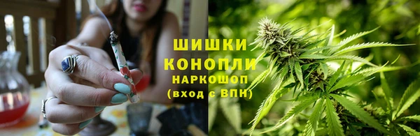 амф Анжеро-Судженск