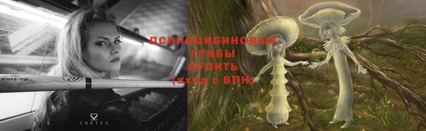 метамфетамин Анива