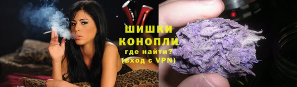 PSILOCYBIN Апатиты