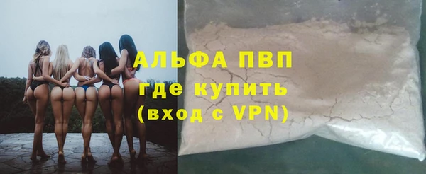 амф Анжеро-Судженск