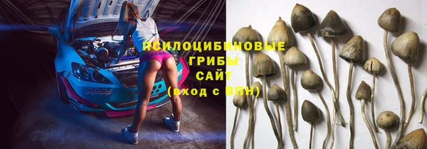 дмт Медногорск