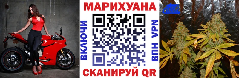 купить наркотик  Калач  Канабис OG Kush 